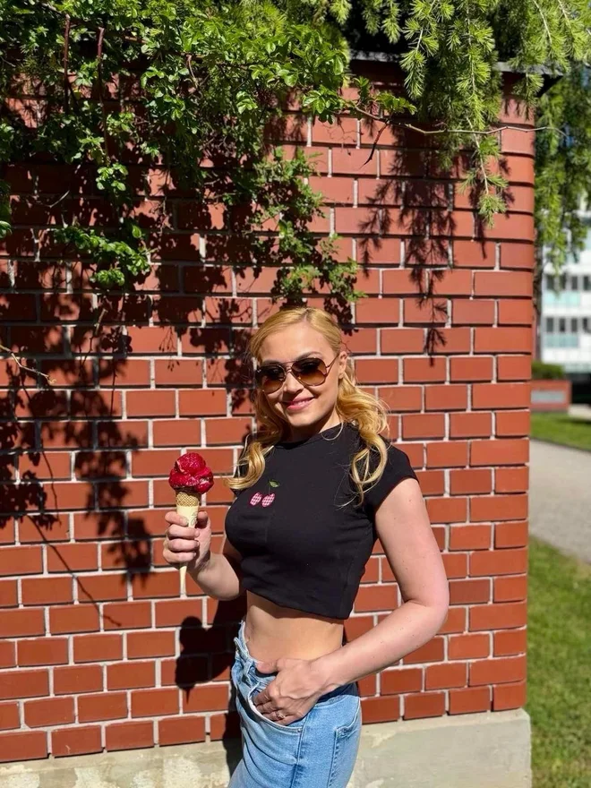 Slika članka