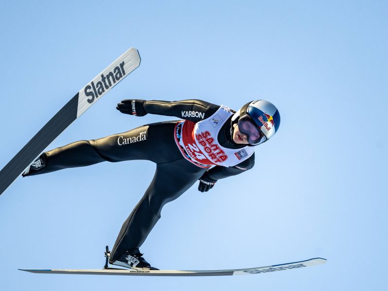 Slika članka