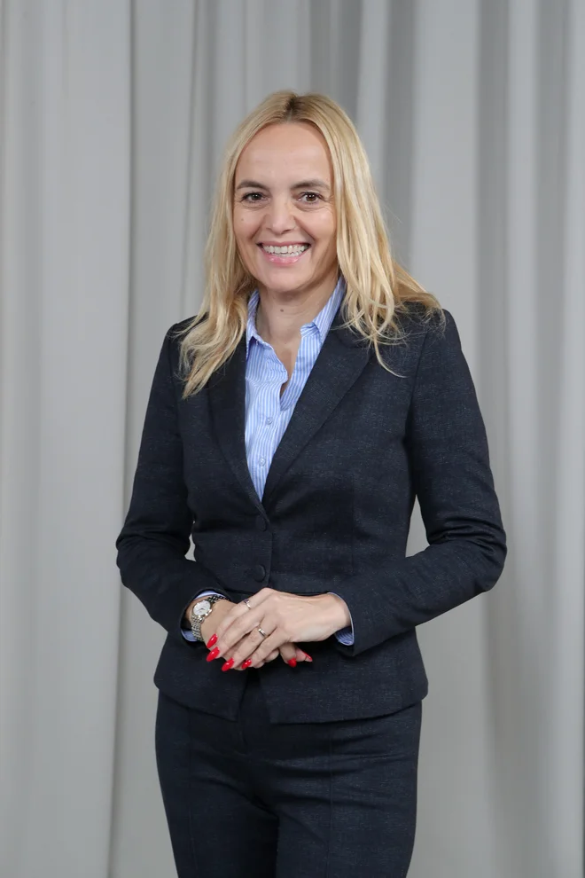 Slika članka