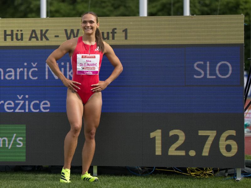 Slika članka