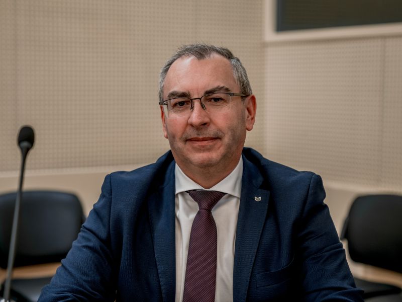 Slika članka