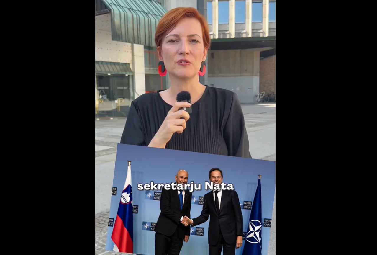 Slika članka