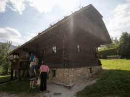 Slika članka