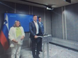 Slika članka