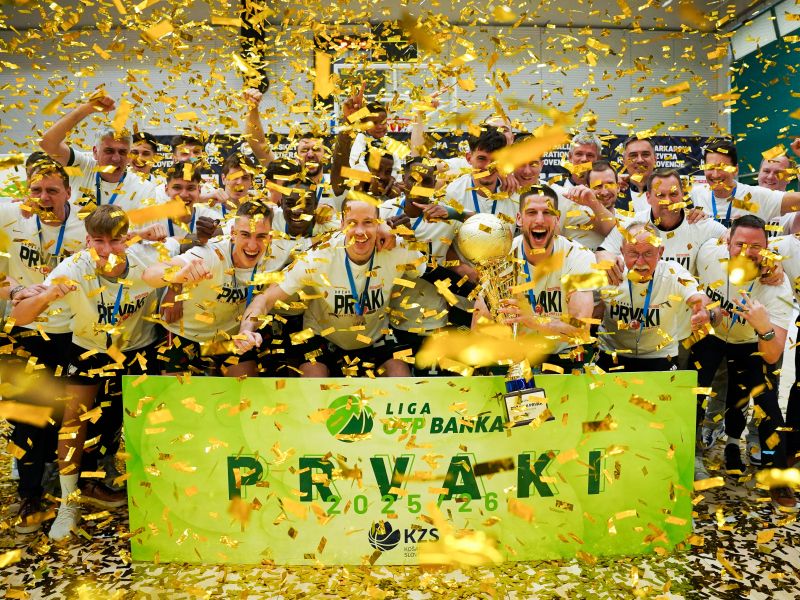 Slika članka