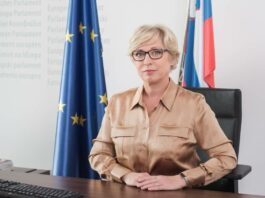 Slika članka