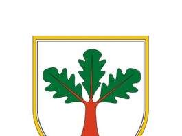 Slika članka