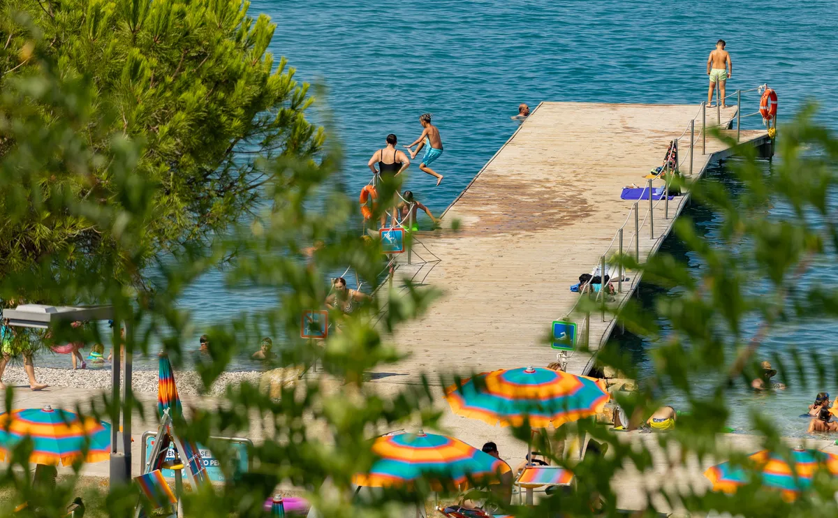 Slika članka