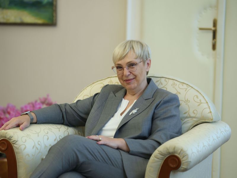 Slika članka