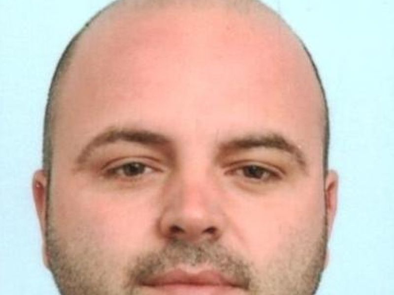 Slika članka