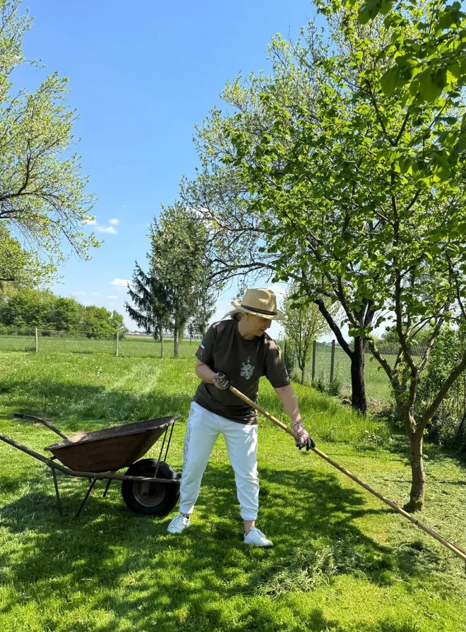 Slika članka