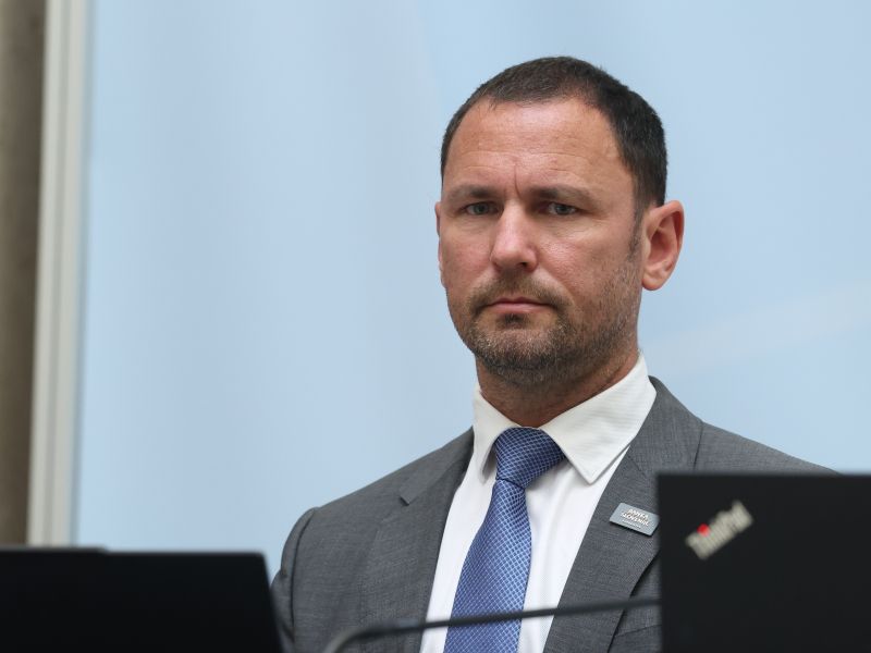 Slika članka