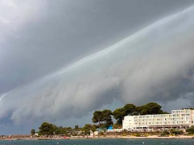 Slika članka