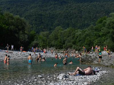 Slika članka