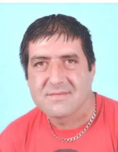 Slika članka