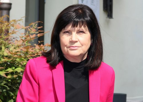 Slika članka