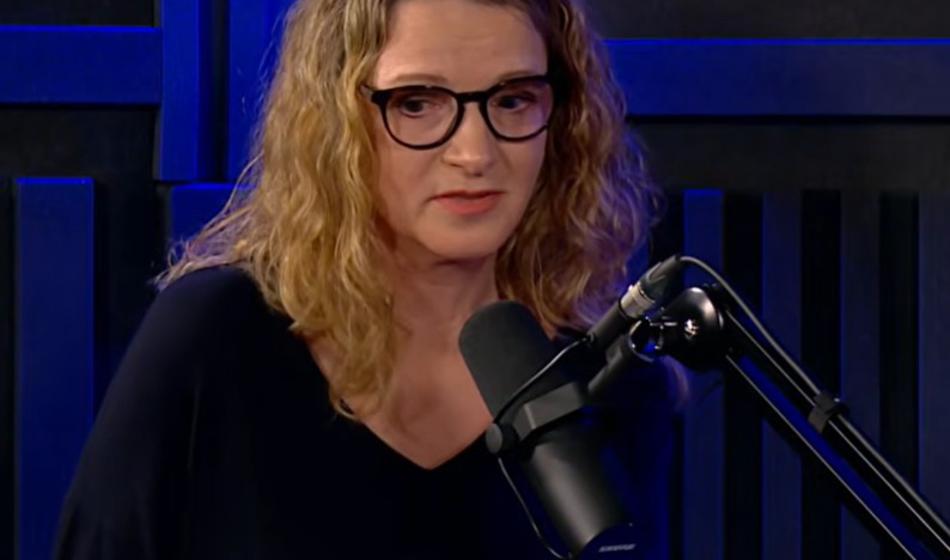 Slika članka