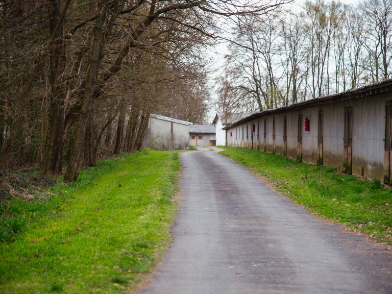 Slika članka