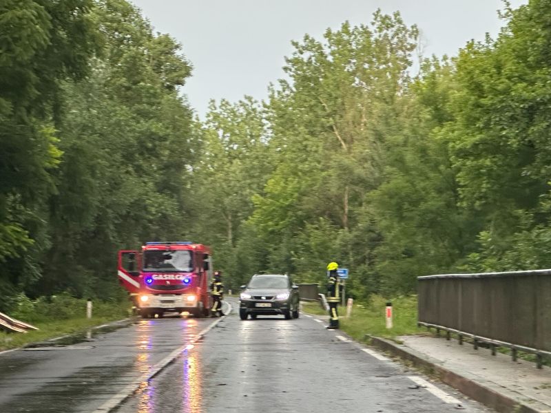 Slika članka