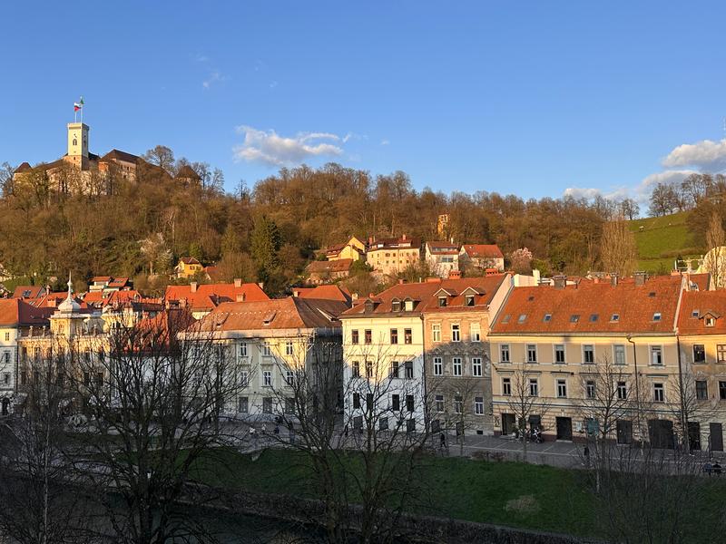 Slika članka