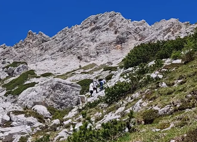 Slika članka