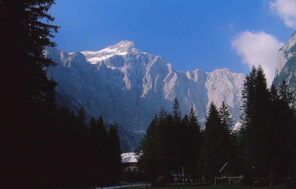 Slika članka