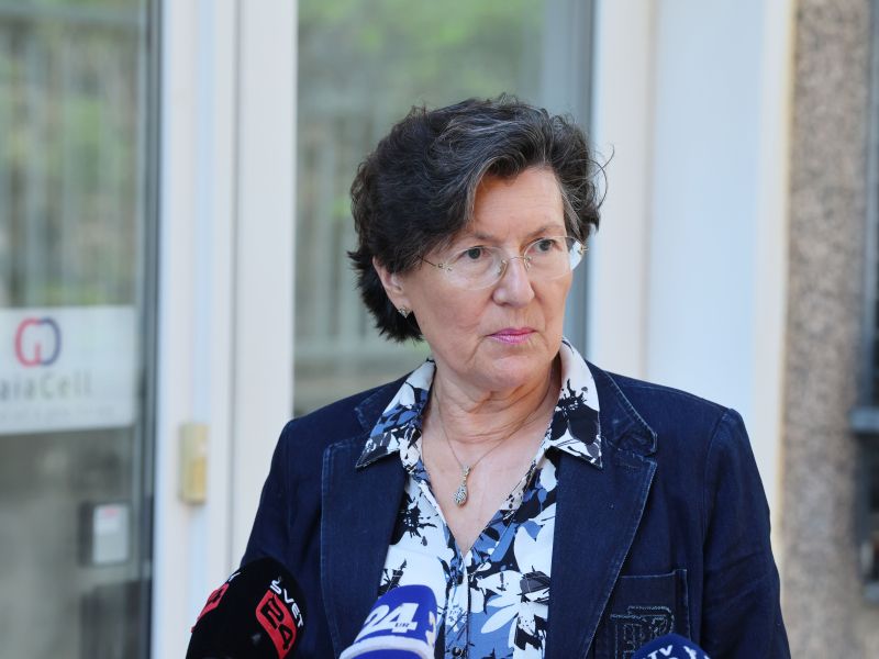 Slika članka