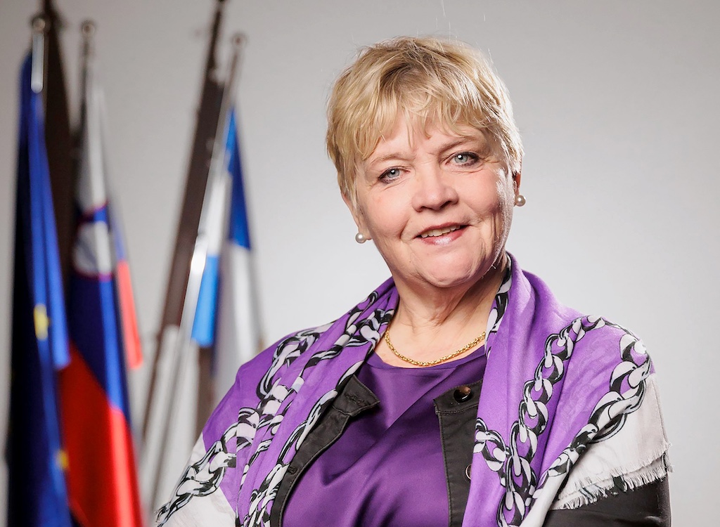 Slika članka