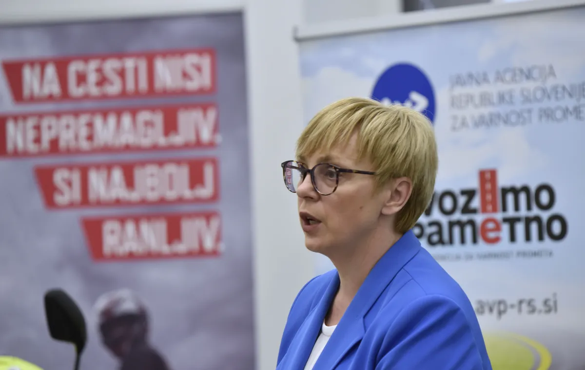 Slika članka