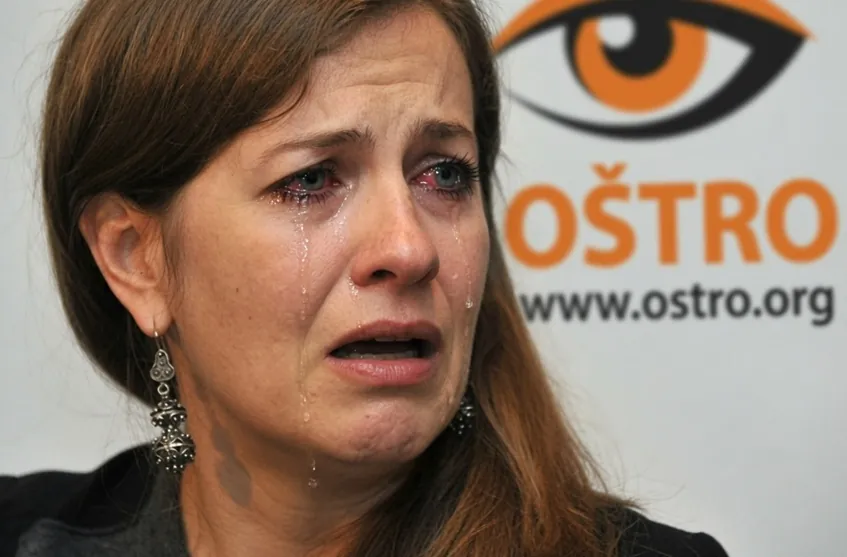 Slika članka