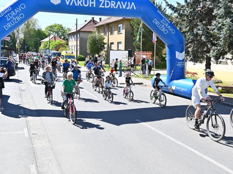 Slika članka