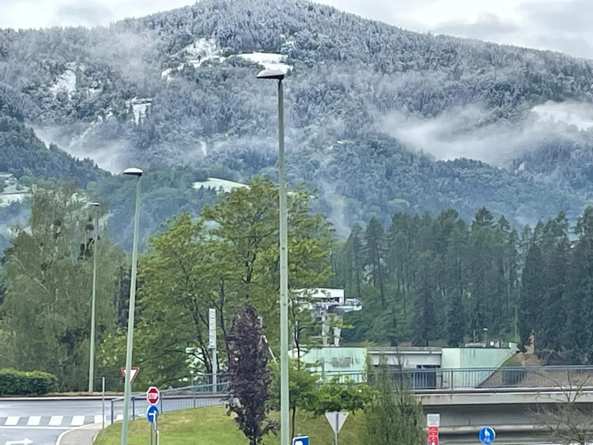 Slika članka
