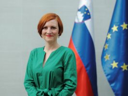 Slika članka