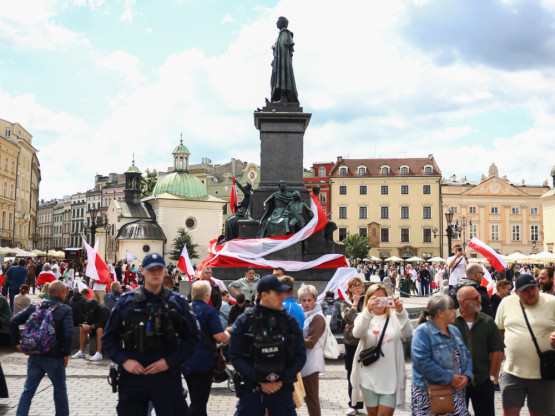 Slika članka