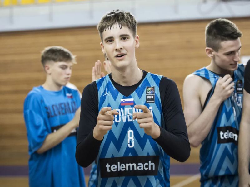 Slika članka