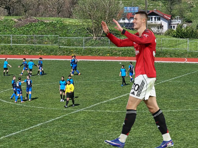 Slika članka