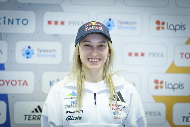 Slika članka