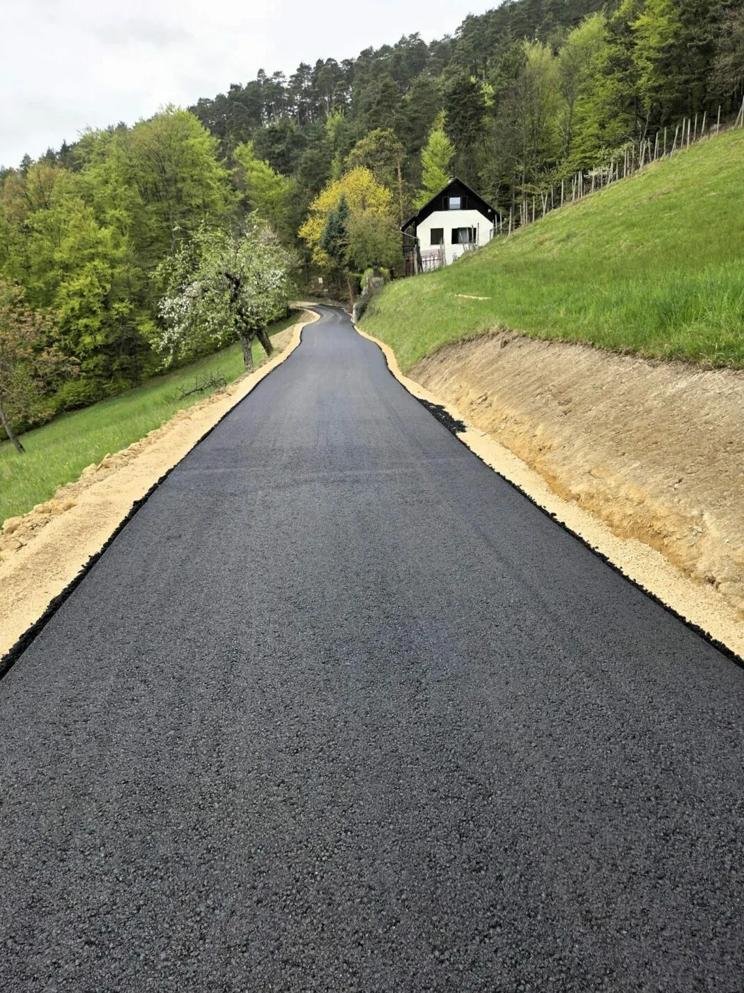 Slika članka