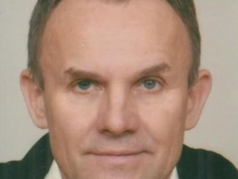 Slika članka