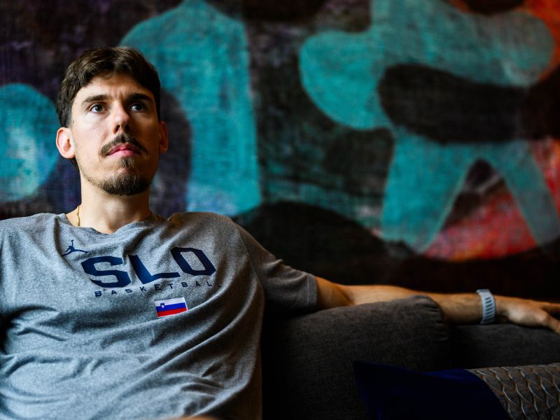 Slika članka