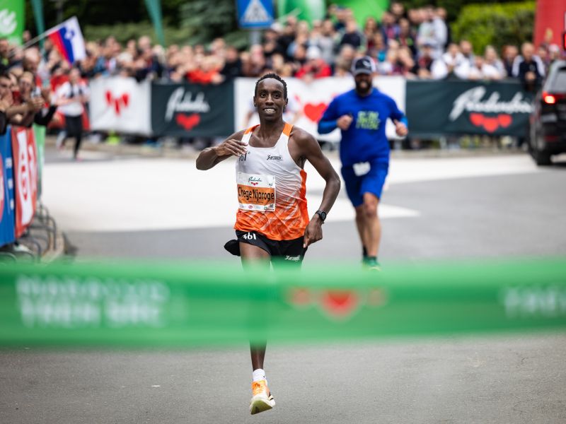 Slika članka