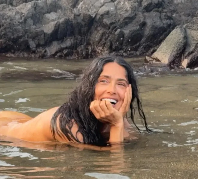 Slika članka