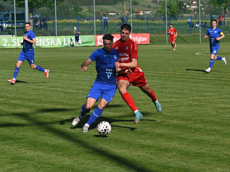 Slika članka