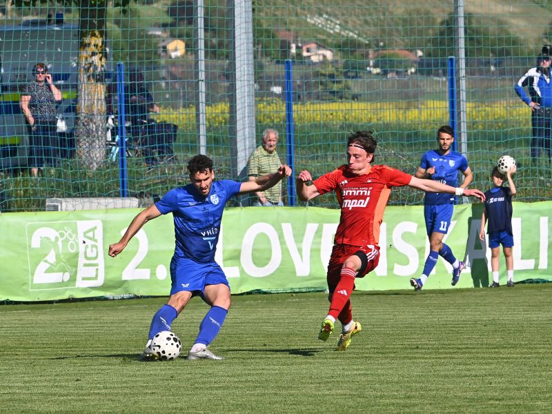 Slika članka