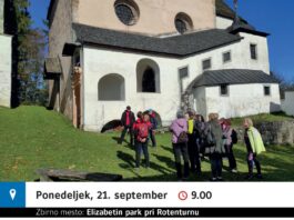 Slika članka