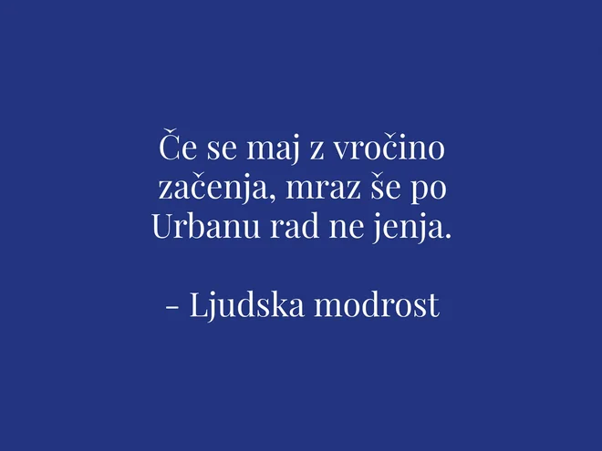 Slika članka