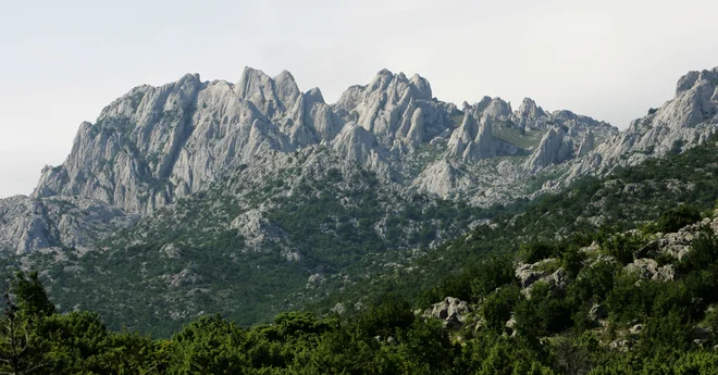 Slika članka