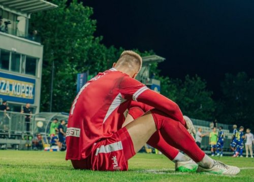 Slika članka