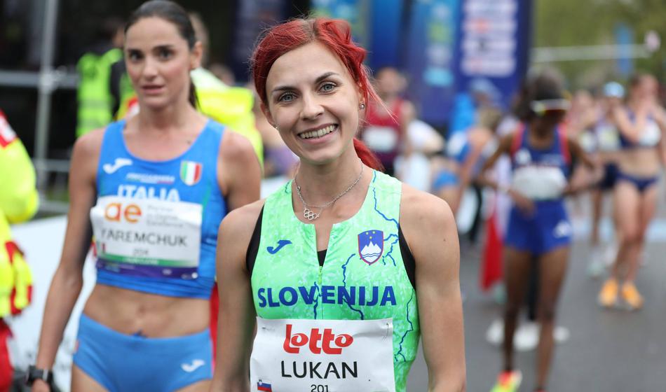 Slika članka
