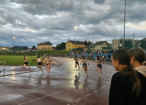 Slika članka